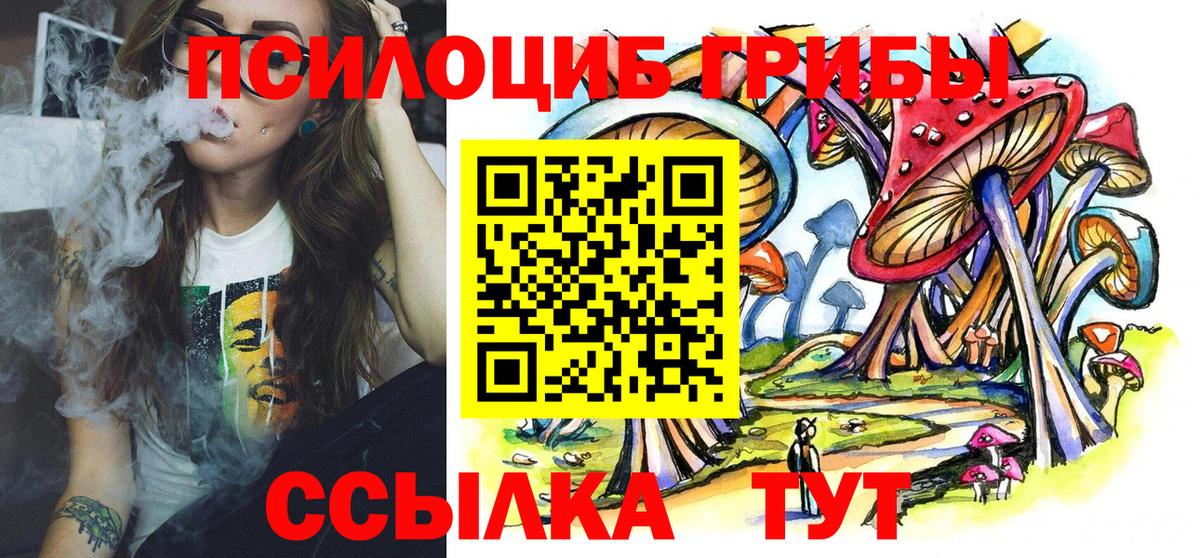 Воскресенск  Псилоцибиновые грибы MAGIC MUSHROOMS  Вход с VPN 