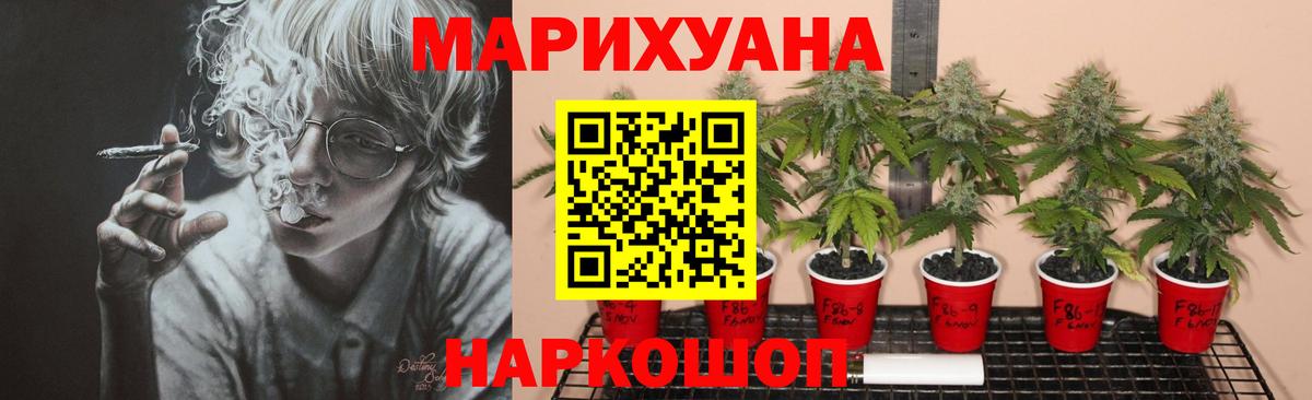 Бошки марихуана Ganja  МАРИХУАНА планчик  Воскресенск  Конопля сатива  Вход с VPN 